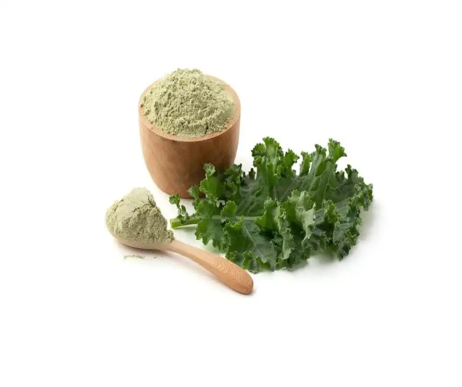 Benefits of Kale Extract for Health and Wellness